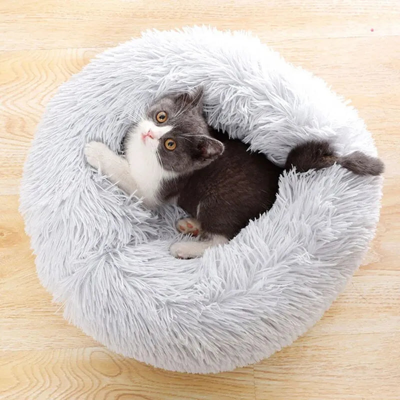 cama de gato de pelúcia super fofa